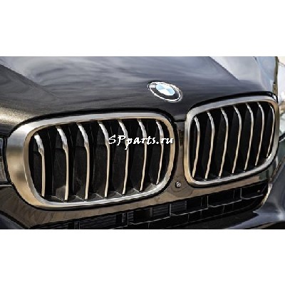 Решетка передняя декоративная для BMW X6 2014-2017