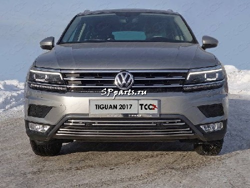 Решетка передняя декоративная для Volkswagen Tiguan 2016-2017